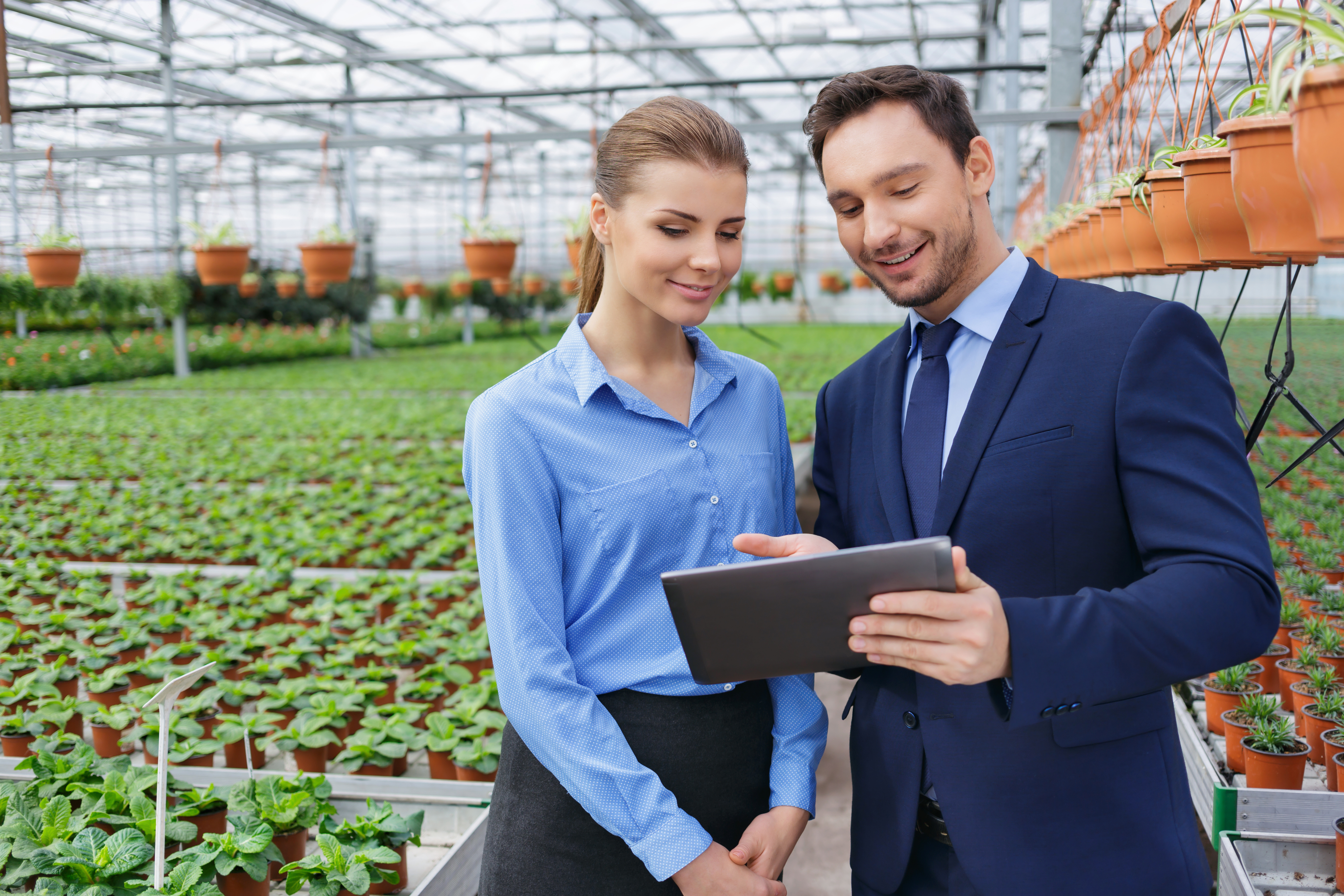 Planning Your Greenhouse Spaces with Dynamics NAV