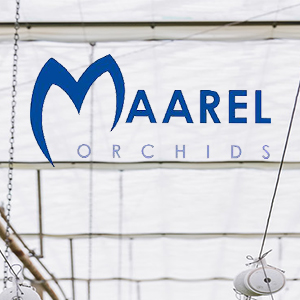 Case Study - Maarel Orchids