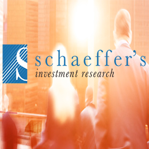 Case Study - Shaeffer's Investment Research