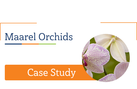 Maarel Orchids improved visibility with Dynamics NAV and Agriware