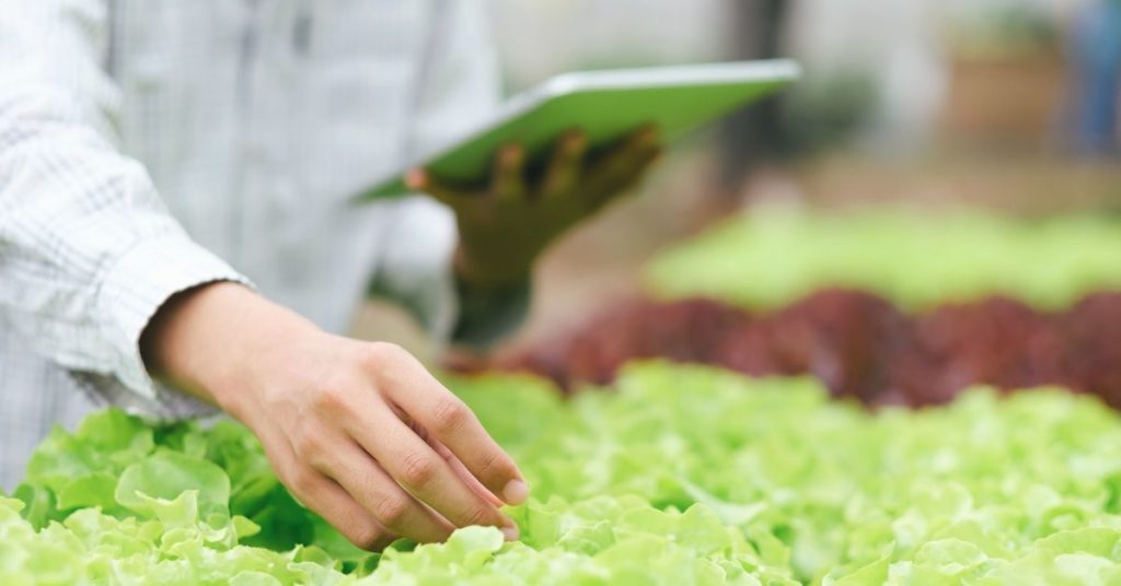 The Power of Microsoft Office 365 for Growers