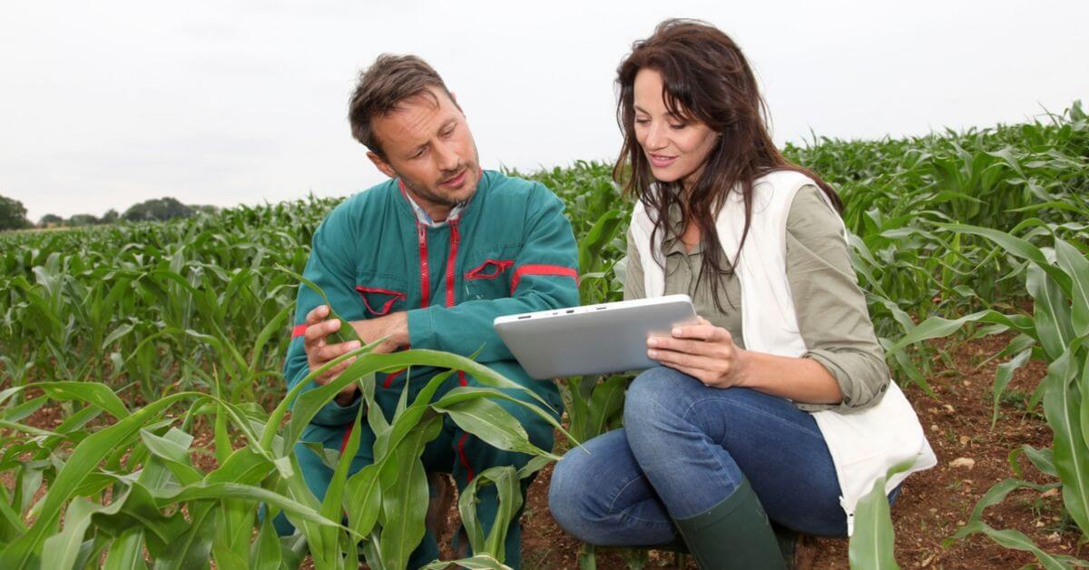 5 Technologies Agribusiness Owners are Using to Boost Profit Margins