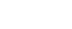 microsoft partner gold competencies 