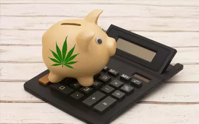 Cannabis Accounting Software