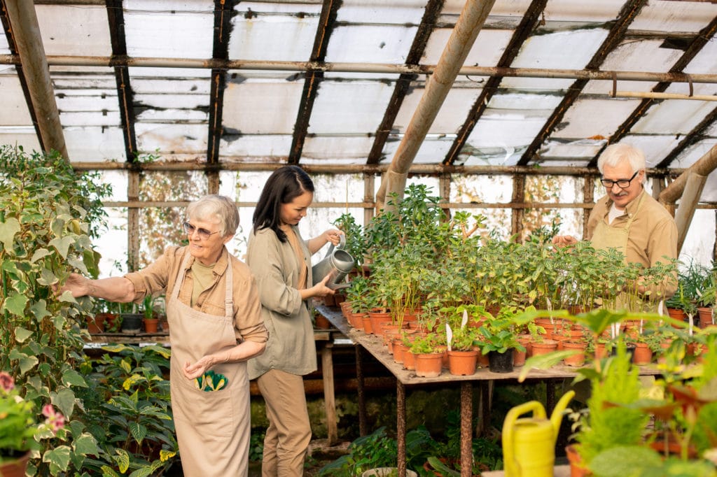 Overcoming 3 Factors That Keep Greenhouse Growers from Operating Efficiently