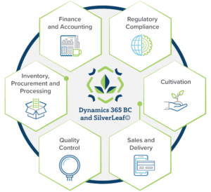 SilverLeaf ERP Functionality Wheel