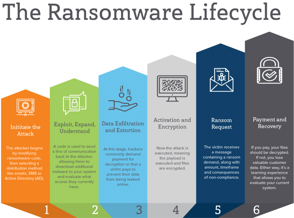 The Ransomware Lifecycle Infographic