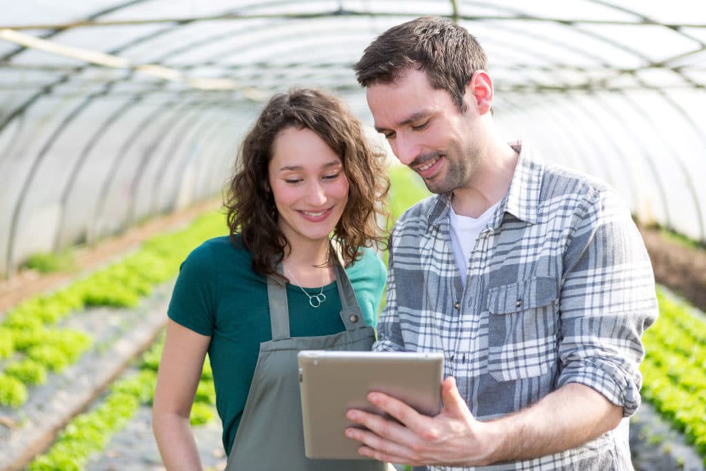 Trends in Technology for Greenhouse Growers