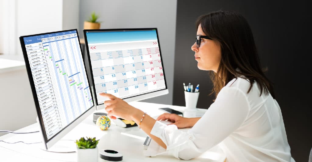 Professional Services Consulting Using Scheduling Software