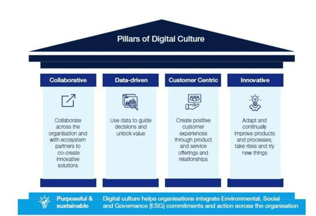 Pillars of Digital Culture