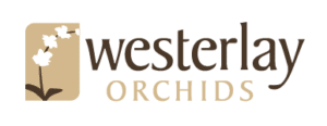 Westerlay Logo