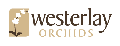 Westerlay Logo