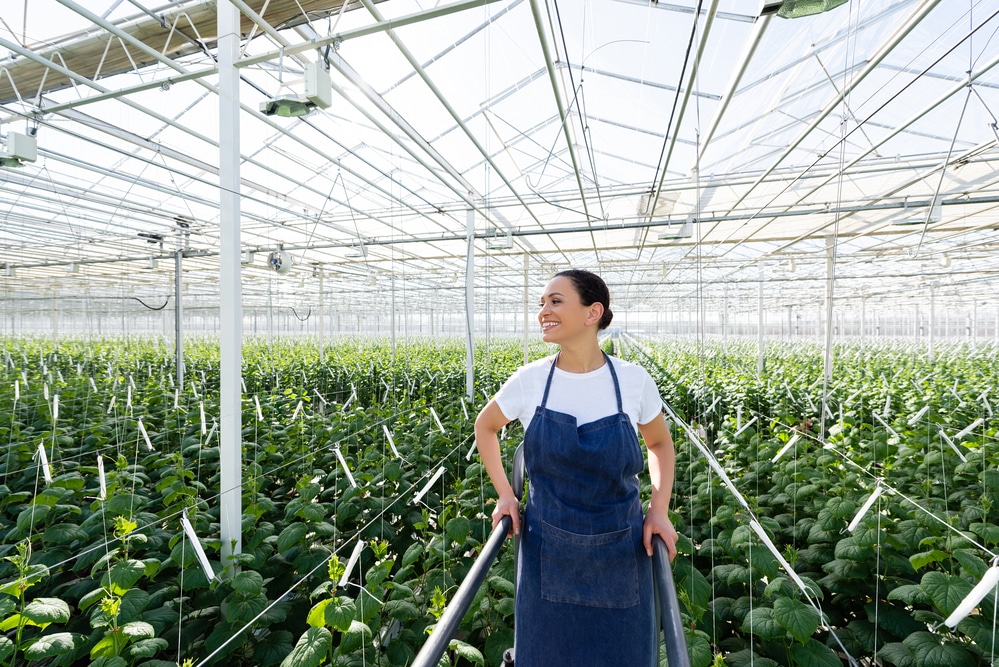 plant production processes