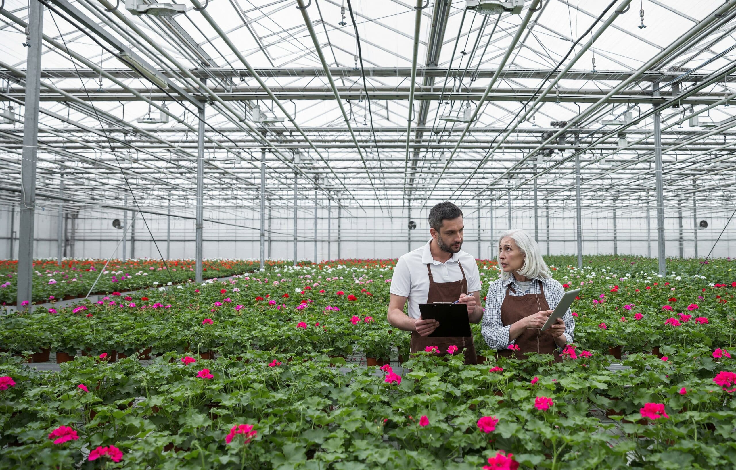 two agribusiness professionals in a greenhouse using a mobile software solution
