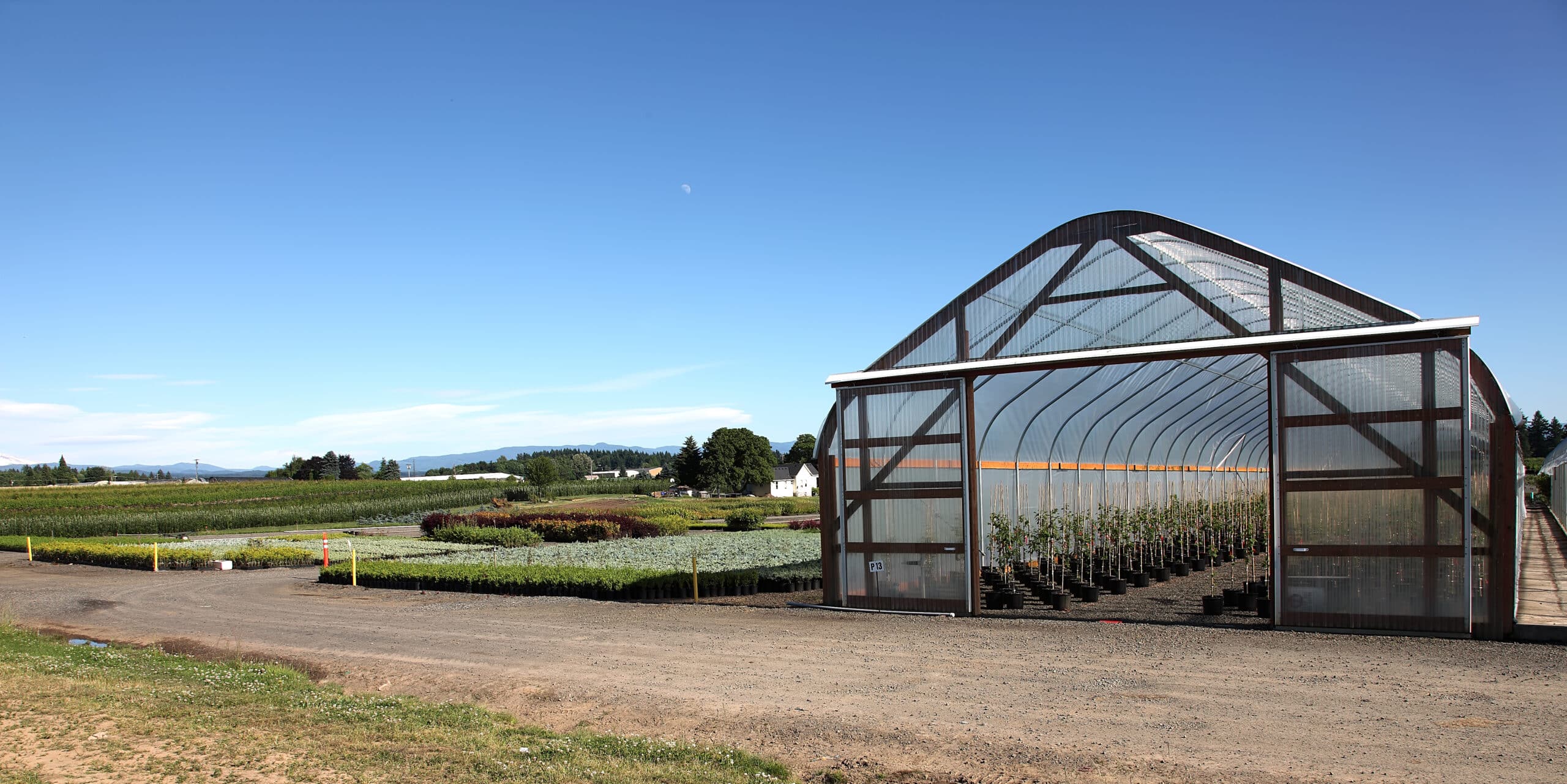 Greenhouse plant nursery