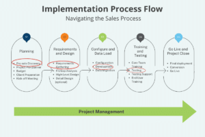 process flow chart for ERP customization