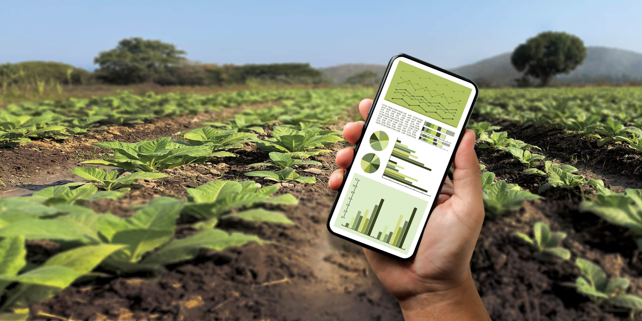 Greenhouse Business Management Solution