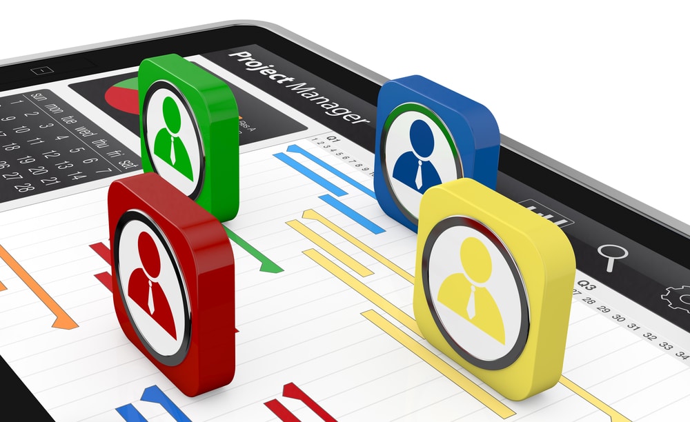 Project management