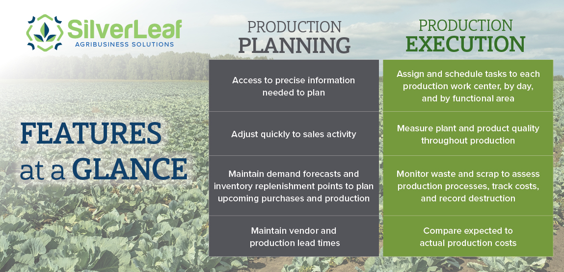 SILVERLEAF FOR HORTICULTURE FEATURE AT A GLANCE: PRODUCTION PLANNING AND PRODUCTION EXEUCUTION