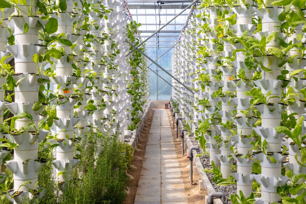 Manage Supply & Demand for Greenhouse Growers