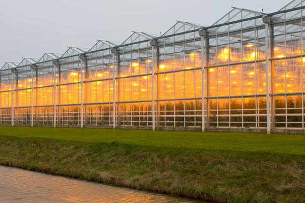 Silverleaf Greenhouse