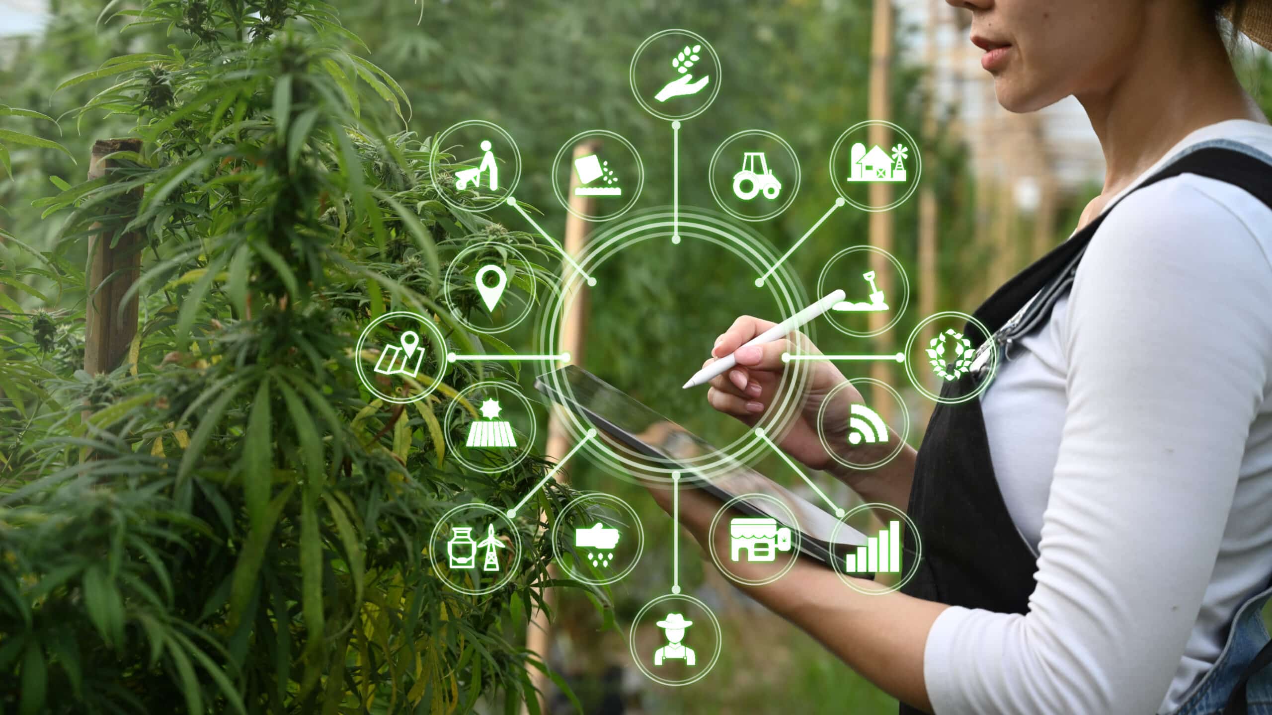 Agriculture technology