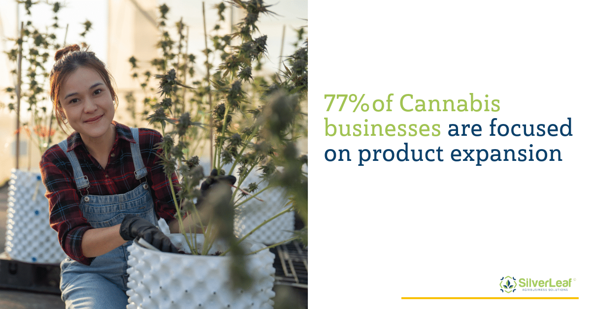 State Of The Cannabis Industry Li