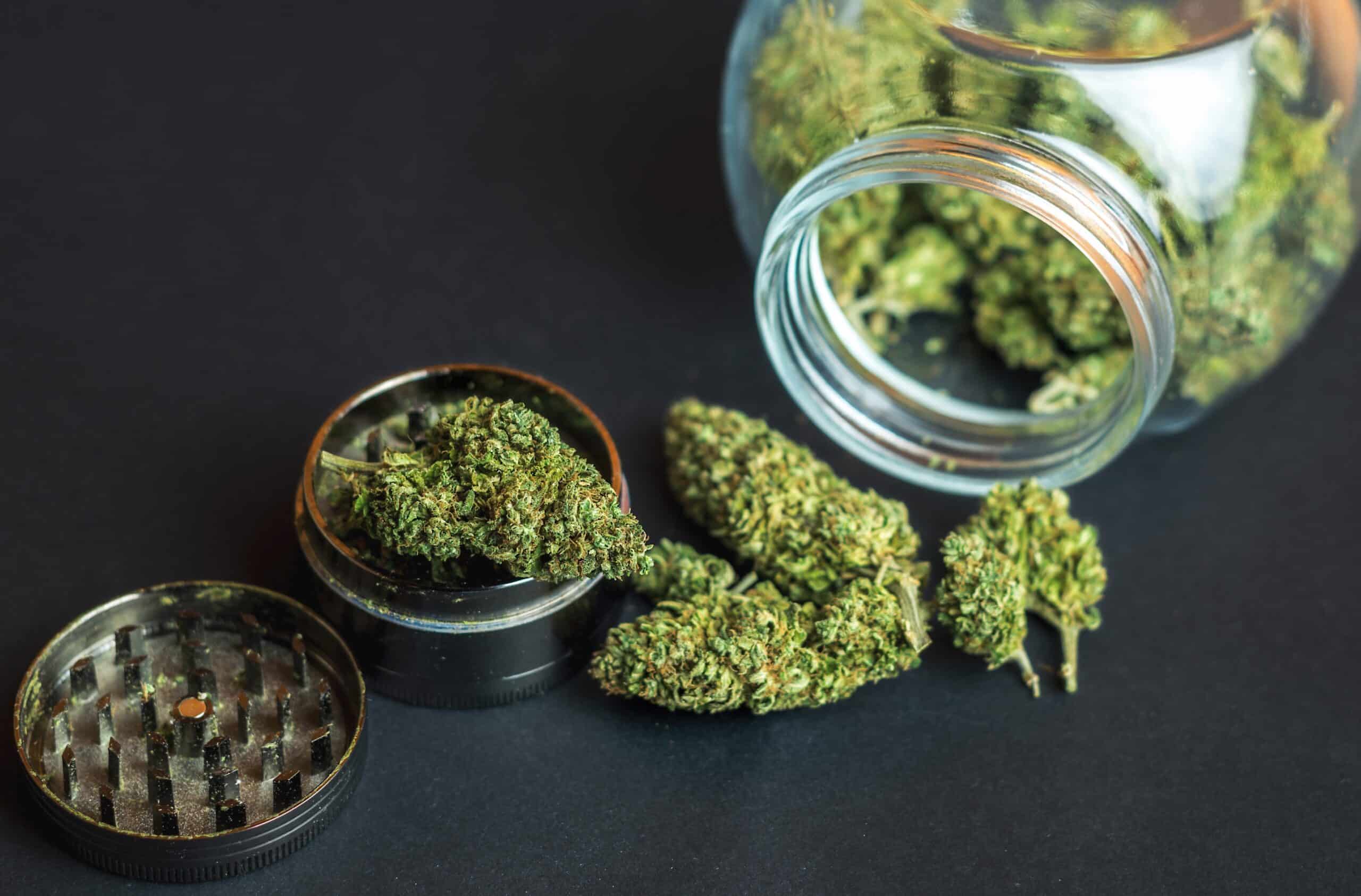 Cannabis Flower Buds And Grinder Utc Scaled