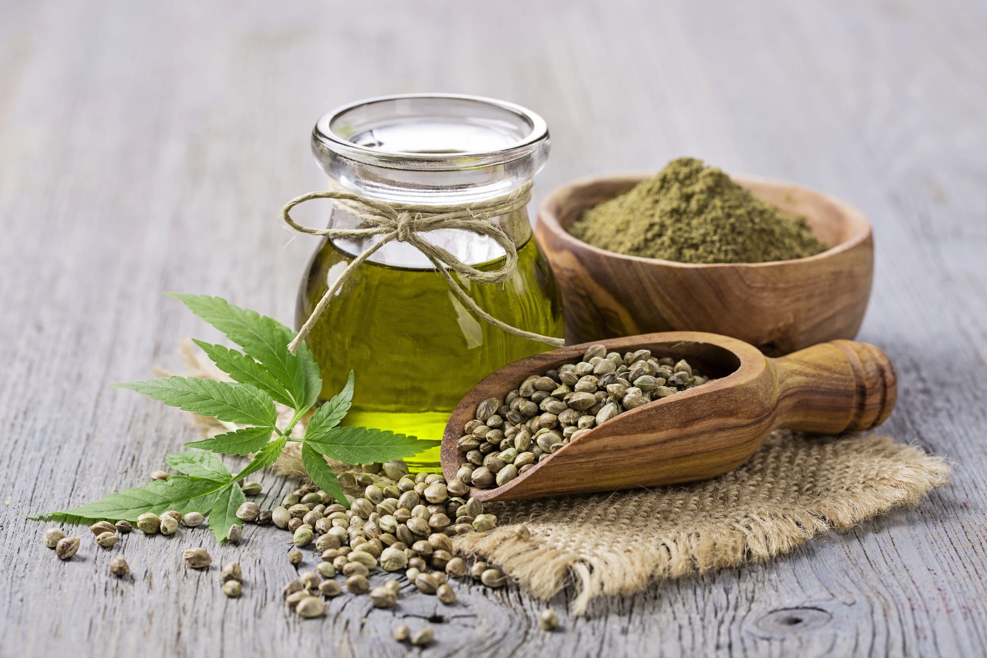 Cannabis Potency And Yeild