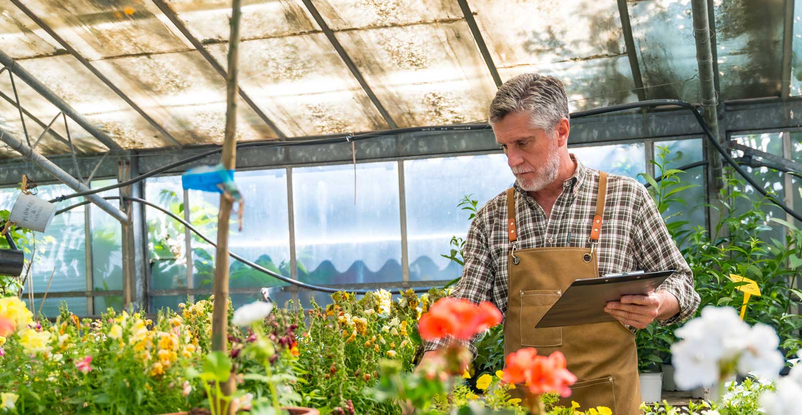 Nursery Management Software