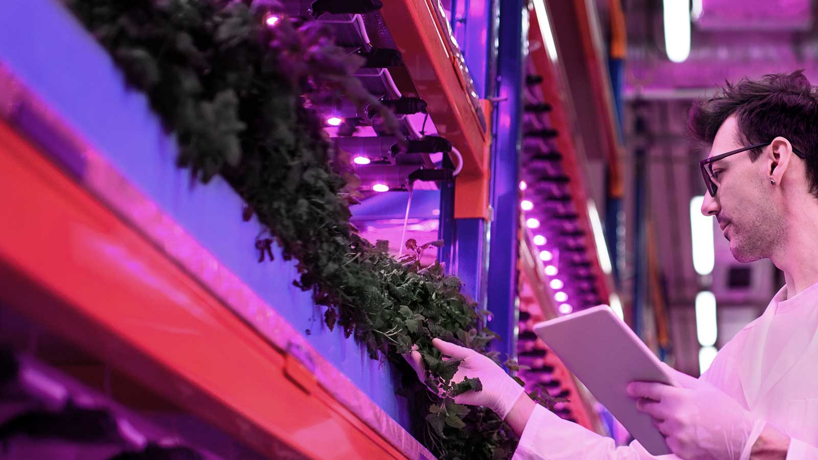 Aquaponics Management Software