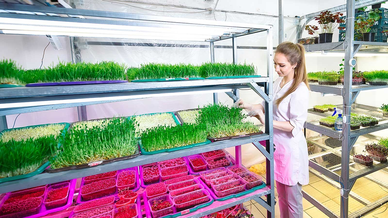 Microgreens Farm Management Software