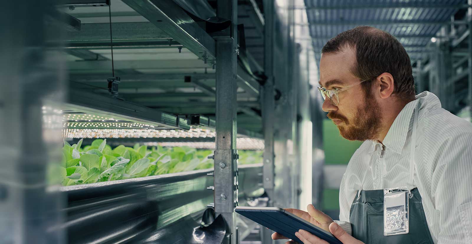 Vertical Farming Software