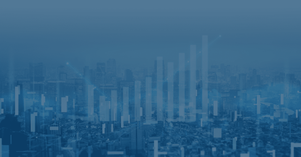 ERP Investment