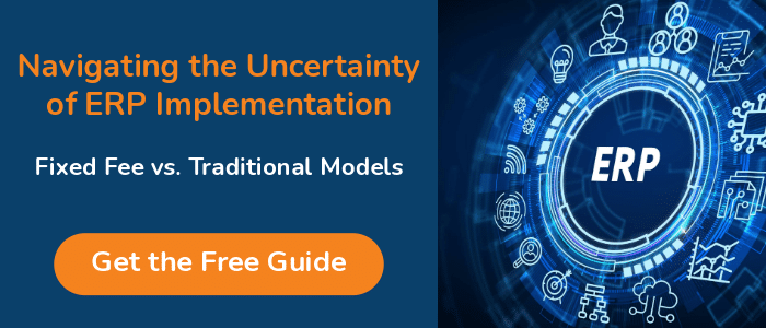 ERP Implementation Guide CTA